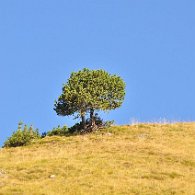 CSC_0882
